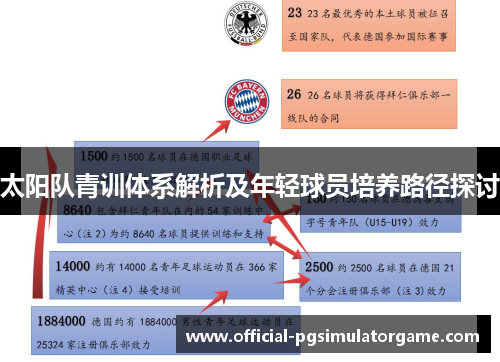 太阳队青训体系解析及年轻球员培养路径探讨