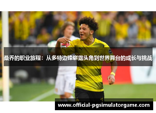 桑乔的职业旅程：从多特边锋崭露头角到世界舞台的成长与挑战