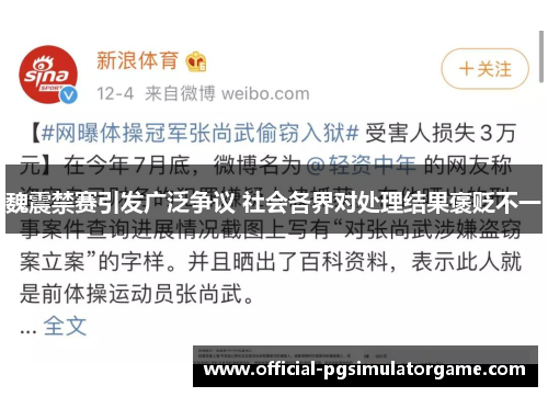 魏震禁赛引发广泛争议 社会各界对处理结果褒贬不一