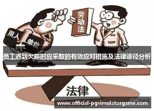 员工遇到欠薪时应采取的有效应对措施及法律途径分析