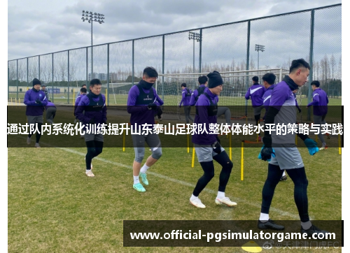 通过队内系统化训练提升山东泰山足球队整体体能水平的策略与实践