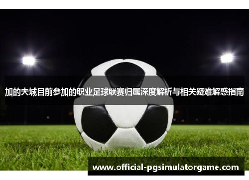 加的夫城目前参加的职业足球联赛归属深度解析与相关疑难解惑指南