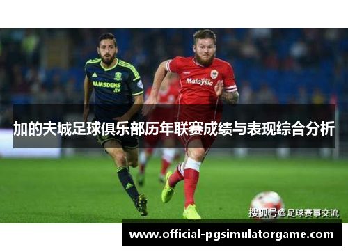 加的夫城足球俱乐部历年联赛成绩与表现综合分析