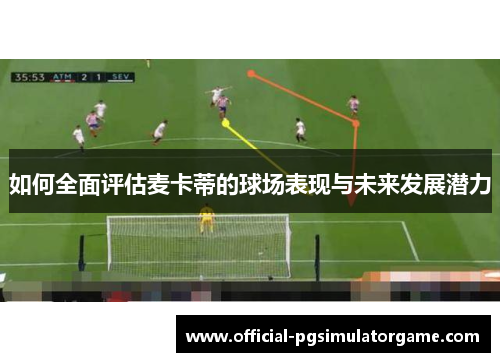 如何全面评估麦卡蒂的球场表现与未来发展潜力 如何全面评估麦卡蒂的球场表现与未来发展潜力