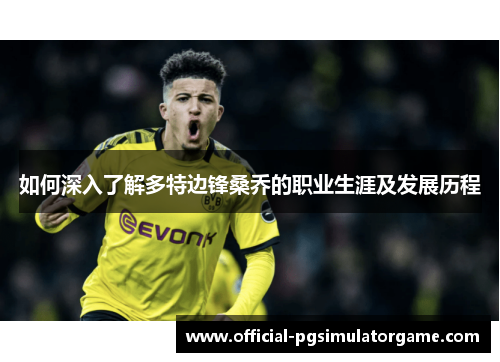 如何深入了解多特边锋桑乔的职业生涯及发展历程 如何深入了解多特边锋桑乔的职业生涯及发展历程
