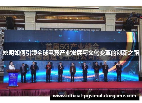 姚明如何引领全球电竞产业发展与文化变革的创新之路