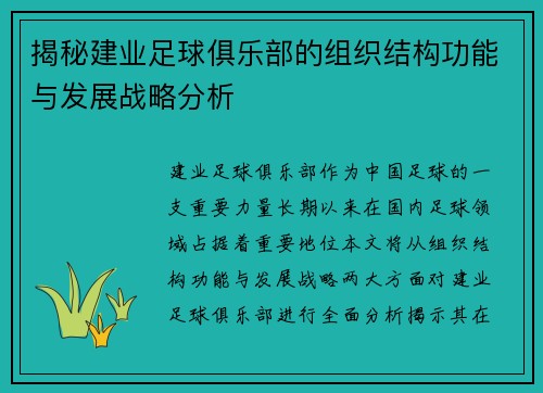 揭秘建业足球俱乐部的组织结构功能与发展战略分析